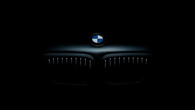 Logotipo de vista de parrilla BMW sobre fondo negro descargar