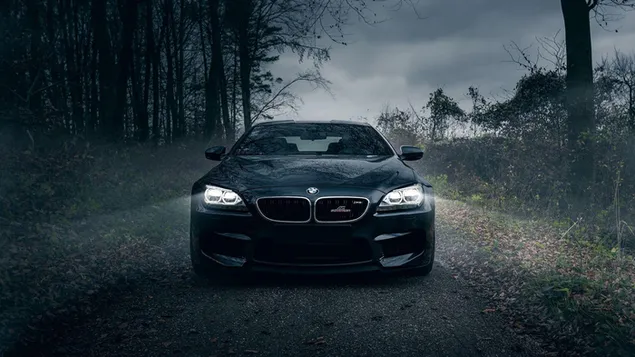 BMW con faros encendidos en camino arbolado