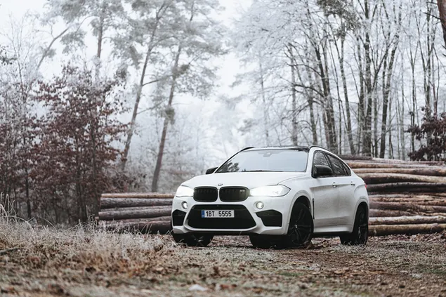 Bmw X6 Trắng tải xuống