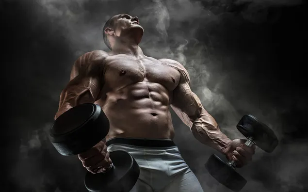 Bodybuilder gespierde man trainen met halters download