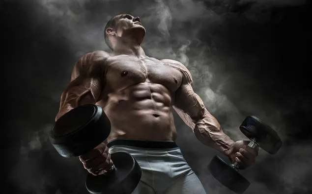 Bodybuilder muscular man working out with dumbbells 2K wallpaper