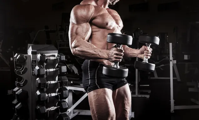 Bodybuilding dunbil workout sportschool