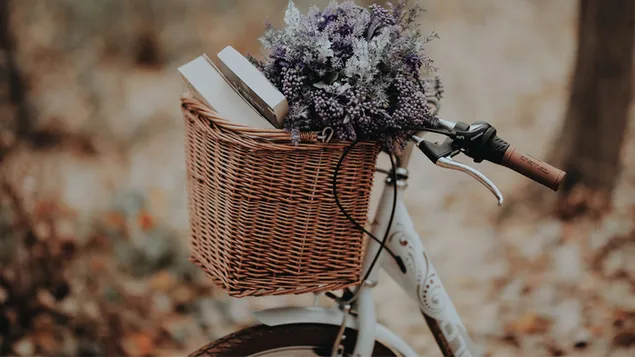 ktb wzhwr fy sl@ khshby@ wdrj@ ltnzyl