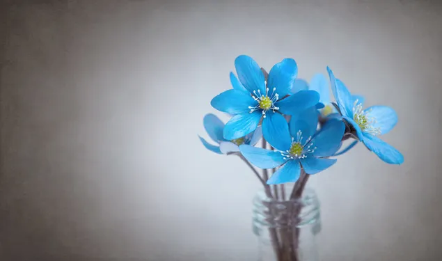 ボトルに入った青いミスミソウの花