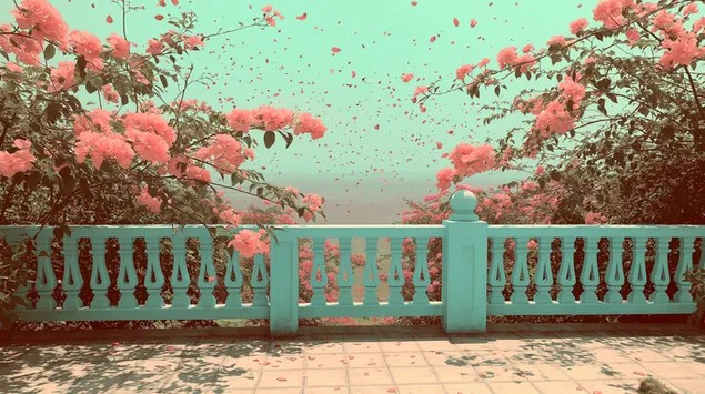 titeann peitil bougainvillea thar bhalcoin le radharc na farraige ioslodail