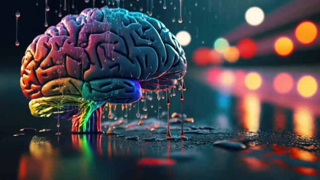 cerveau colore telechargement