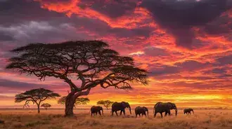 zapanjujuci zalazak sunca u africkoj savani sa slonovima preuzmi