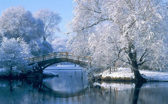 Atemberaubender Blick auf den Teich im Winter