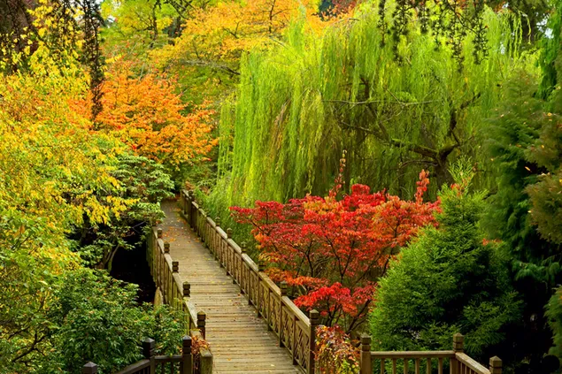 Puente en el parque de otoño