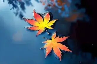 고요한 수면 위의 밝은 가을 단풍잎 2K 배경화면