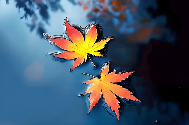 Ярки есенни кленови листа върху спокойната водна повърхност 2K тапет