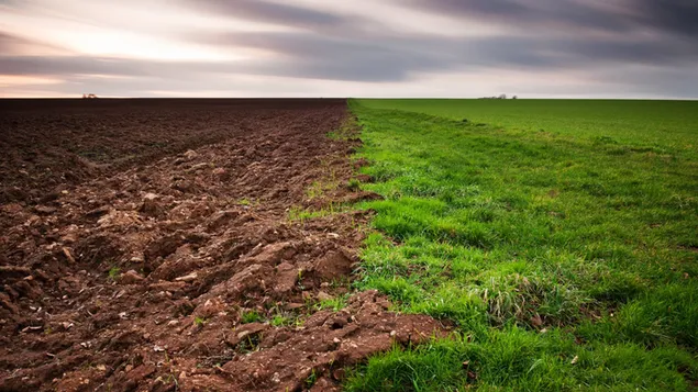 ruskea ja vihrea kentta lataa