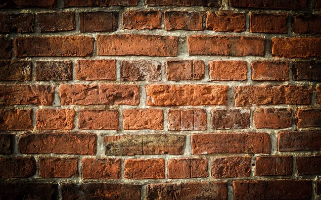 Pared de ladrillo marrón, ladrillos, arquitectura, naranja, edificio descargar