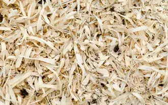 Segatura marrone, legno, segatura, fondo HD sfondo