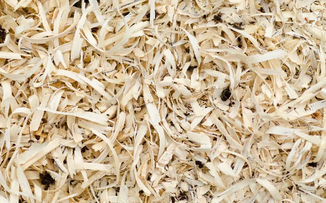 brazowe trociny, drewno, trociny, tlo pobierz