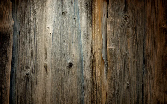 Tronco de árbol marrón, textura, grano de madera, resistido, fondo descargar