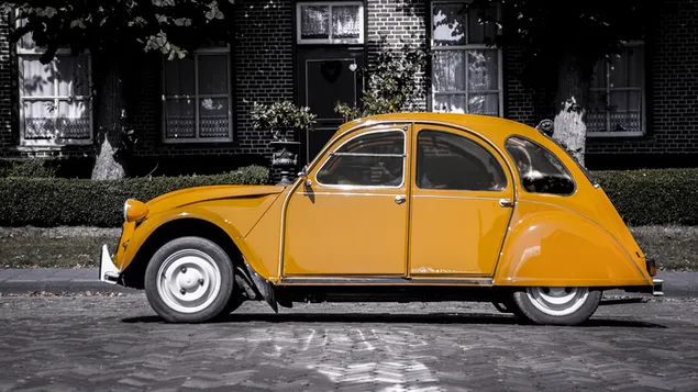 Braunes Volkswagen Käfer Coupé in selektiver Farbfotografie 4K Hintergrundbild