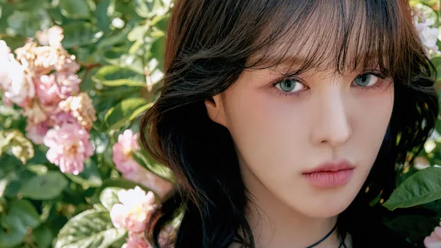 red velvet De Hei Fa [wendy]  | <<Zhu Ni Di Yu >> Zhuan Ji Pai She Xia Zai