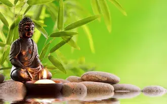Tapeta Buddhismus náboženský symbol se zelenými listy rostlin a meditačním motivem před zeleným pozadím 2K