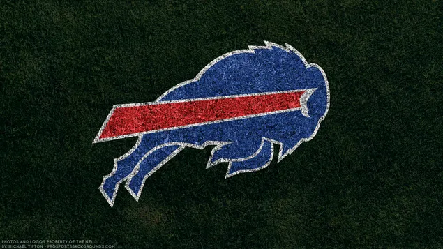 Buffalo Bills-Logo auf grünem Gras