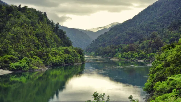 Buller River, Westand, Nový Zéland stáhnout