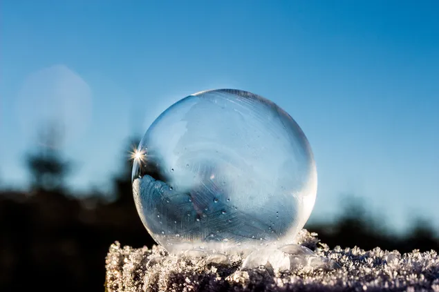 burbuja congelada