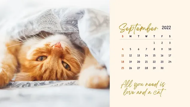 Bureaubladkalender - september 2022, kattenthema download