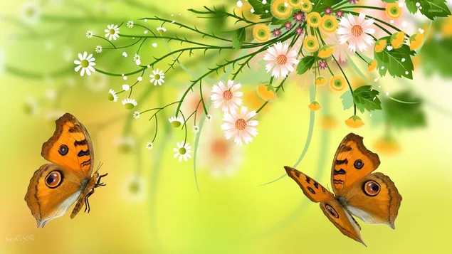 Schmetterlinge und Gänseblümchen HD Hintergrundbild