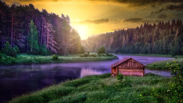 Cabin beside lake in deep forest