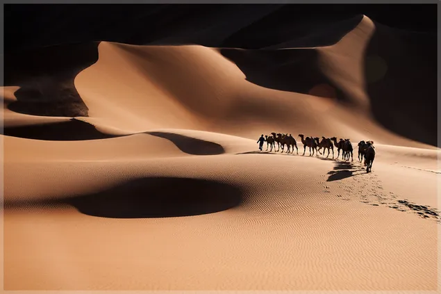 Camels in the desert download