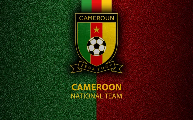 カメルーン代表サッカーチーム