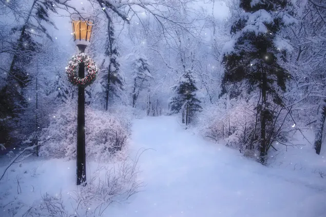 Camino de invierno cubierto de nieve en Navidad