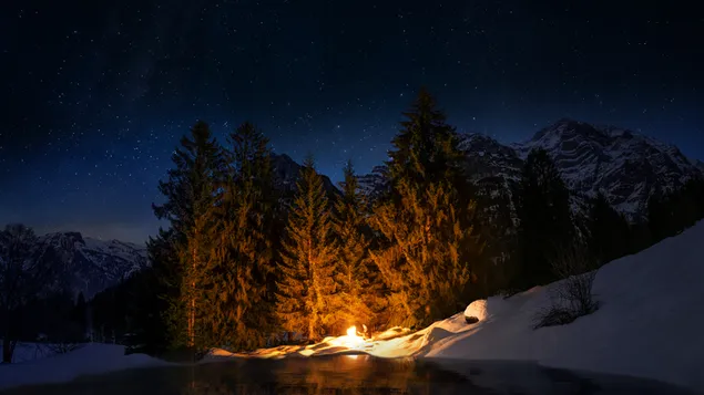 Camp Fire in night forest download