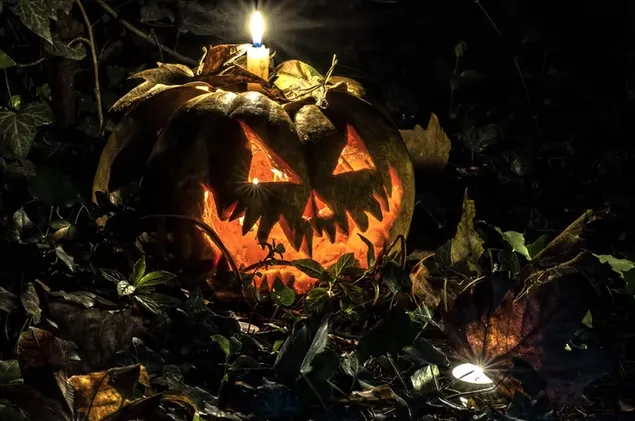 Candle On Halloween Pumpkin Head  download