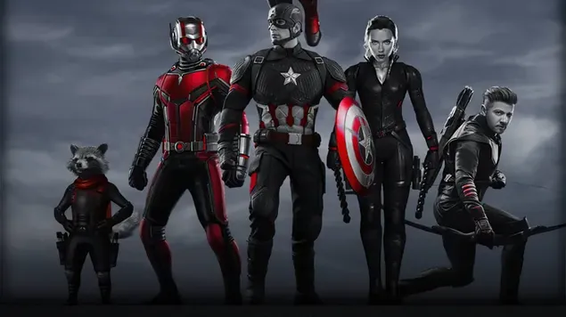 Captain America, Black Widow, Hawakai, Rocket, Ant Man And Wanda Together  download