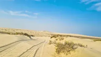 Autospuren und Büsche in der Wüste 4K Hintergrundbild