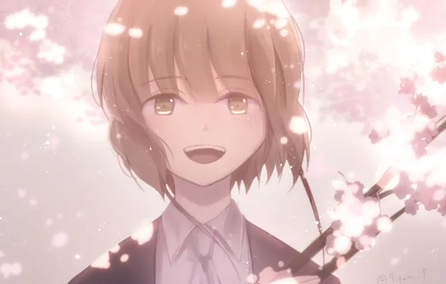 cardcaptor sakura: sakura kinomoto brgyry khnyd