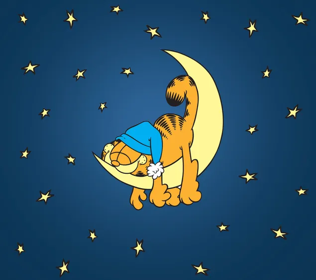 Cartoon sluggish character Garfield sleep 2K wallpaper