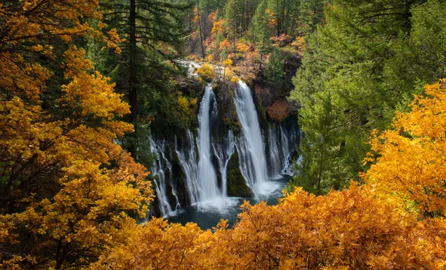 cascada - california