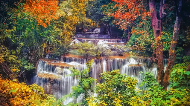 Kaskadierender Wasserfall im Herbstwald herunterladen