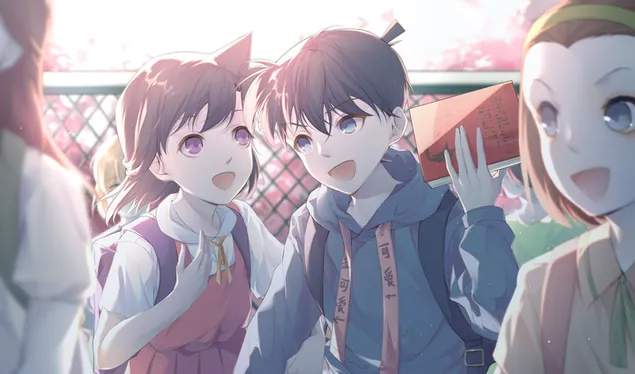 结案 - Shinichi Kudo & Ran Mouri 2K 壁纸