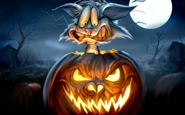 Kat en Jack-o'-lantern 2K achtergrond