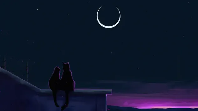 Vợ chồng mèo Ngắm đêm trăng tải xuống
