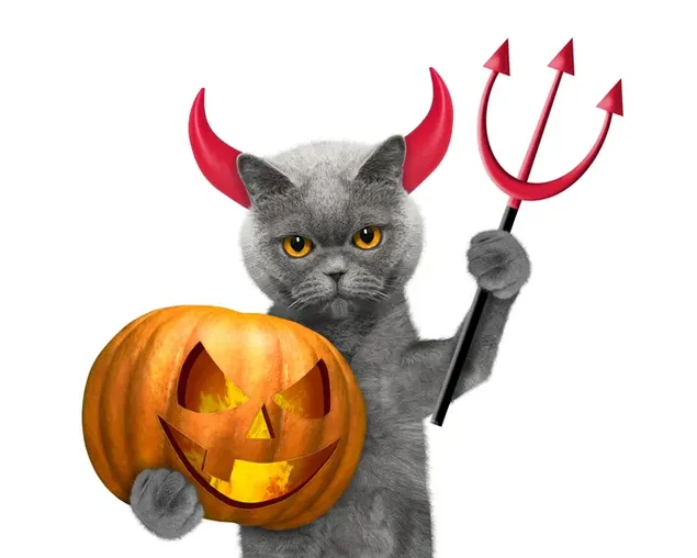 Katze mit Kürbislaterne und Teufelsschwert