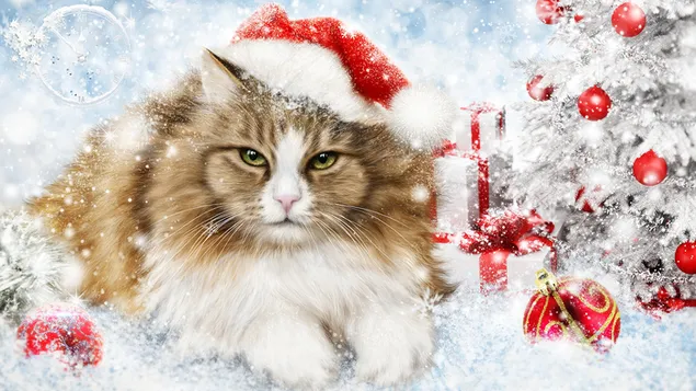 Cat in a Christmas hat download