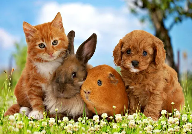 Cat, rabbit, hamster and dog together celebrating easter with daisies