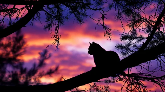 muat turun siluet kucing bertenggek di cawangan pokok melawan langit matahari terbenam