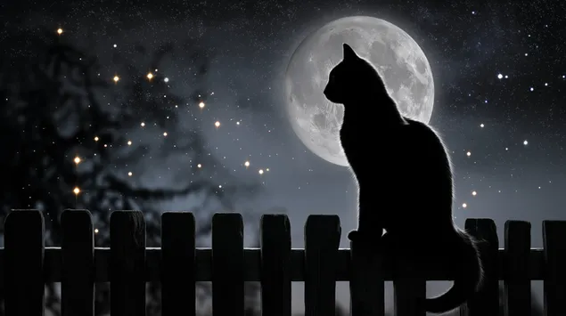 prezemete silueta na machka sedi na ograda nasproti nokjnoto nebo so polna mesechina