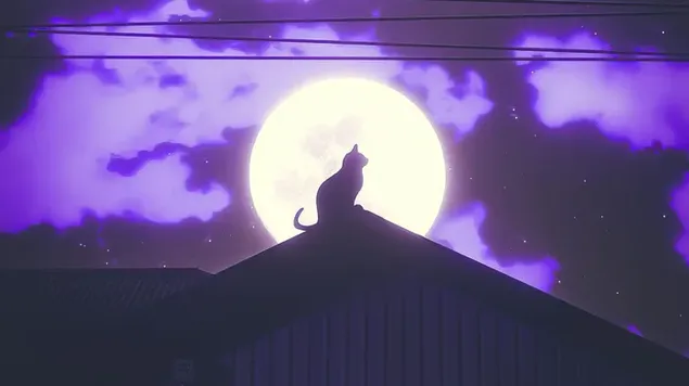 Cat Sitting In House Roof Watch Moon Night download