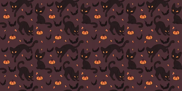 Kucing, kelawar dan labu HD kertas dinding